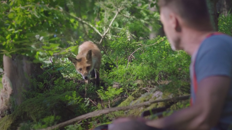 video_worth_sharing_25_large.png