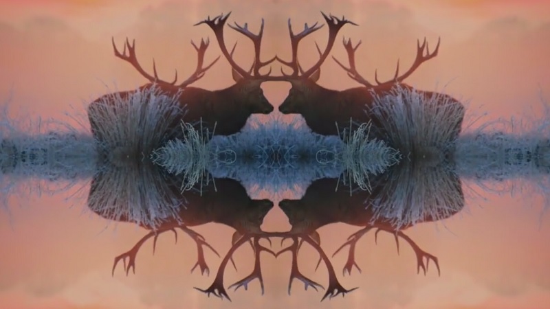 video_worth_sharing_43_large.jpg