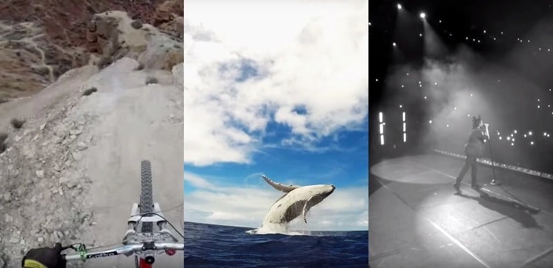 The whale and bike